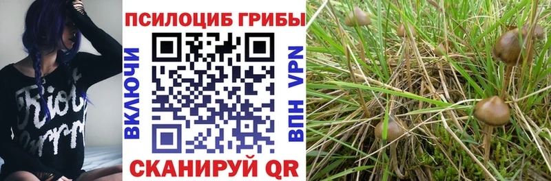 KRAKEN ссылка  Ахтырский  Галлюциногенные грибы Psilocybine cubensis  цены  